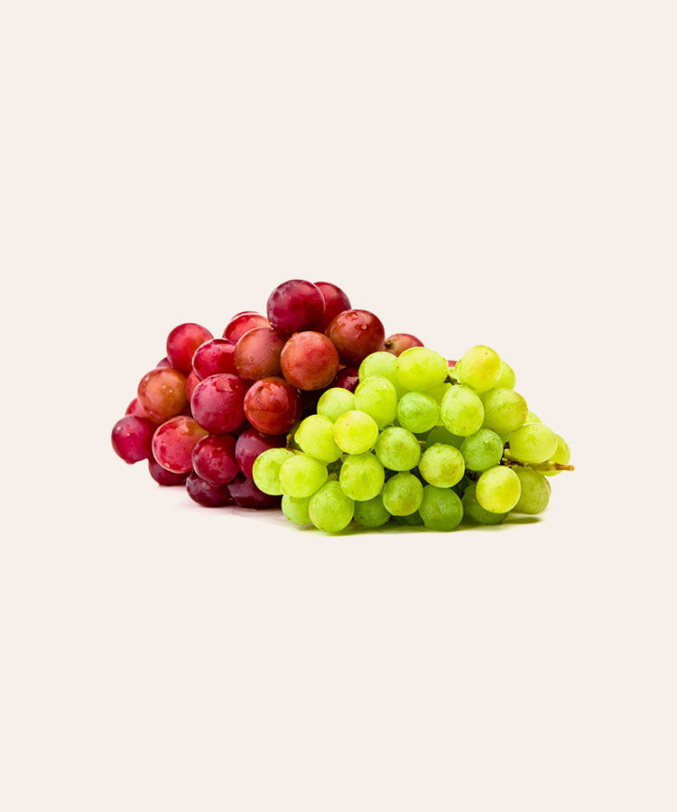 LEMONS - Image 5