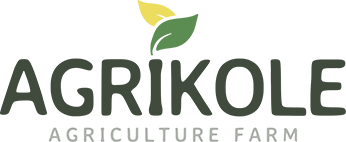 Vinayak FMCG